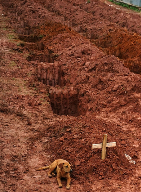40 Of The Most Powerful Photographs Ever Taken | Fables in Photojournalism | Scoop.it