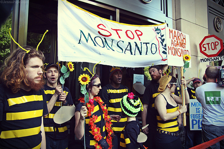 DC Activists Stage Bee Die-In at Monsanto's Lobbying Headquarters | Coffee Party News | Scoop.it