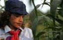 Latin American Cinema takes NY this&nbsp;February | Camera Arts | Scoop.it