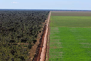 WWF lan&ccedil;a guia para investimento agr&iacute;cola respons&aacute;vel | Imagem Agricultura e Floresta | Scoop.it