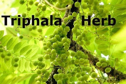 Triphala Natural Colon Cleanser - Facebook Health Page Triphala Natural Colon Cleanser - Facebook Health Page