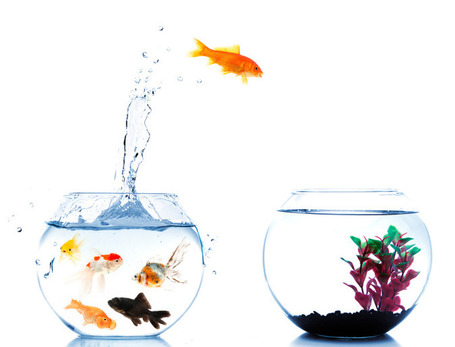 Dig for the gold here -- 6-Step Business Storytelling Guide | Just Story It | Scoop.it