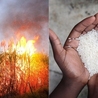 nourrir 6, 9,10 milliards d'humains ?
