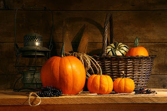 5 Tips to Get Thru Thanksgiving for Kids with Autism | Special Needs News | Scoop.it