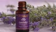 Flower Power! Using Lavender Essential Oil For Horses. Have you used Lavender on your horse? | Horse And Rider World | Scoop.it