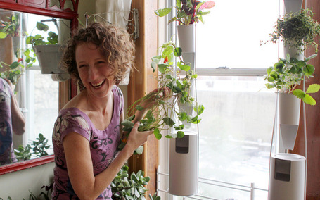 Windowfarms | Agronautas | Scoop.it