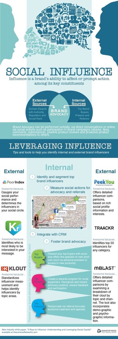 Leveraging Internal and External Social Influence [Infographic] | formation 2.0 | Scoop.it