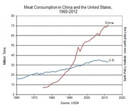 It&rsquo;s official: China now eats twice the meat we&nbsp;do | The Great Transition | Scoop.it