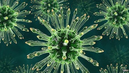 HIV - learning from an evolutionary arms race. | Complex Insight  - Understanding our world | Scoop.it