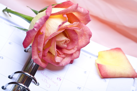 6 Important Lessons Learned from My Blogging Regimen | content marketing ideas | Scoop.it