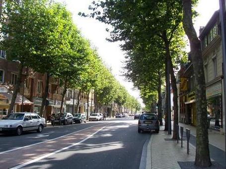 Why Trees Make For Safer Streets | Transition Culture | Scoop.it