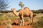 Stop Global Warming | A Scoop At Ecological Issues | Scoop.it