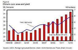 China corn production boosts 2012/2013 output | Maize | Scoop.it