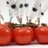 Agroindustria Sostenible