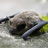 img_pesticides : un vrai cancer social ?