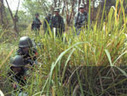 Pacific Army Combats Geography, Personnel Issues | Regional Geography | Scoop.it