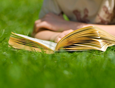 See what your brain lacks if you don't read fiction | Social Media, Memetics, and Cognitve Science | Scoop.it