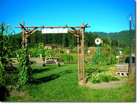 A New Fundraising Tool for Permaculture Permaculture Research Institute | The Next Edge | Scoop.it