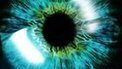 'Blind' mice eyesight treated with transplanted cells - BBC News | Organ Donation & Transplant Matters | Scoop.it
