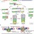 Virology News