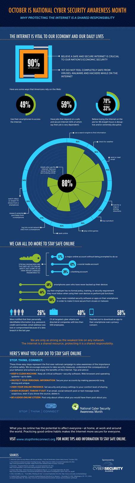 Protecting the Internet Infographic | StaySafeOnline.org | Wiki_Universe | Scoop.it