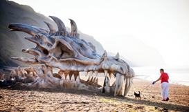 Dragon bones washed up on Dorset beach ... Blinkbox | Fresh Marketing News | Scoop.it