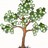 timber and forestry investments