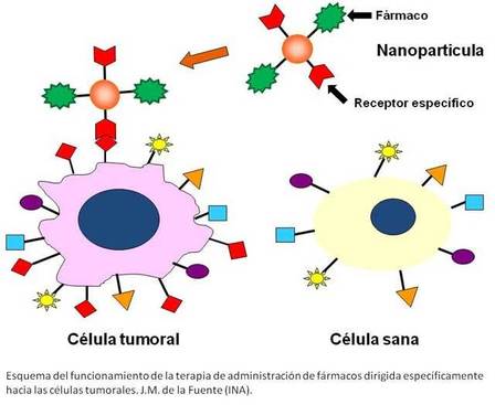 Hacia los 'nanomedicamentos inteligentes' - El Mundo.es | Investigación Educativa | Scoop.it