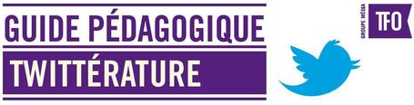 Guide de la twitt&eacute;rature et Guide Twitter pour les non initi&eacute;s | Litt&eacute;ratures num&eacute;riques en Biblioth&egrave;que ? | Scoop.it