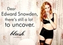 Blush introduces Edward Snowdon-themed lingerie ads | Fresh Marketing News | Scoop.it