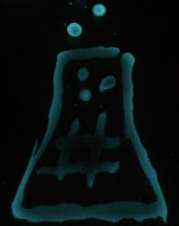 The #SciFund logo drawn with bacteria | #SciFund | Scoop.it