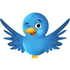 Top 100 Twitter Accounts Job Seekers MUST Follow: 2012 | $theme.getName() | Scoop.it