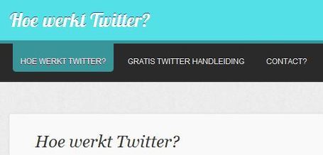 Hoe werkt Twitter? | WEBOLUTION! | Scoop.it
