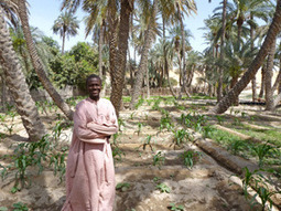 NIGER-TCHAD: L&rsquo;agriculture durable est-elle possible au Sahel ? | Les hommes sur terre | Scoop.it