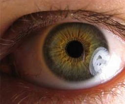 Eye-tracking reveals variability in successful social strategies for children with autism | 21st Century Concepts- Educational Neuroscience | Scoop.it