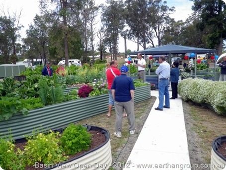 aquaponics south africa aquaponics diy