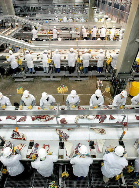 Beef's Raw Edges - Our Industrialized Food System - Part 1 | YOUR FOOD, YOUR HEALTH: Latest on BiotechFood, GMOs, Pesticides, Chemicals, CAFOs, Industrial Food | Scoop.it