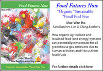 Organic Cuba without Fossil Fuels | Neo Agrarian Society and Urban Forestry | Scoop.it
