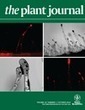 RNA Polymerase V targets transcriptional silencing components to promoters of protein-coding genes - Zheng - The Plant Journal - Wiley Online Library | Arabidopsis | Scoop.it