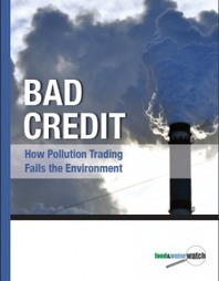 Bad Credit: How Pollution Trading Fails the Environment | Food & Water Watch | Nature + Economics | Scoop.it