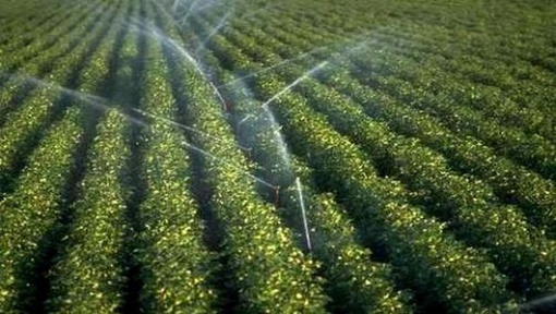 Algérie: Extension des superficies irriguées : consolider et valoriser le potentiel existant