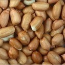 Un patch contre les allergies alimentaires | agro-media.fr | actualit&eacute; agroalimentaire | Scoop.it