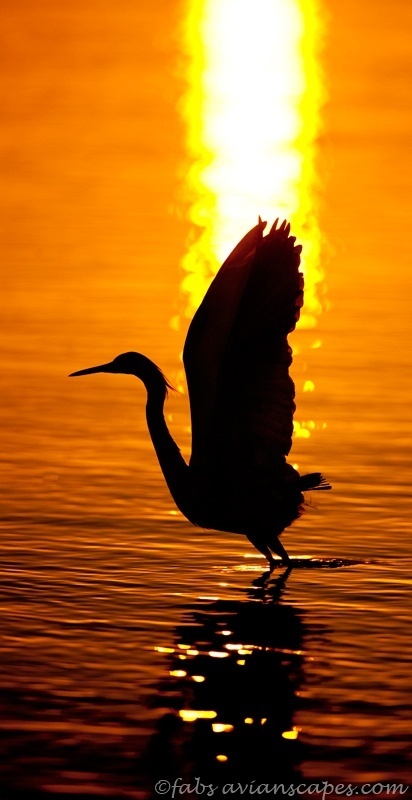 Landing....... | My Photo | Scoop.it