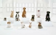 WOOF!! Volkswagen's Super Bowl COMMERCIAL Teaser Is Here and It's a Howler [VIDEO] | TonyPotts | Scoop.it