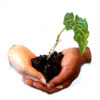 WikiEducator Learning4Content Workshop | Open Educational Resources (OER) | Scoop.it