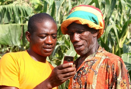 Mobile apps for better crops in Ghana | Food Justice | Scoop.it