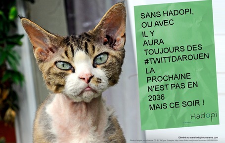 Desperate Librarian Housewife: #twittdarouen | Rouen | Scoop.it