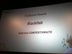 Dogwoof Sales | Blackfish wins the Audience Award at Green Film Festival in Seoul! | Dolphins | Scoop.it
