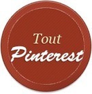 PinAlerts. Votre site est-il repris sur Pinterest ? | Les outils du Web 2.0 | Scoop.it
