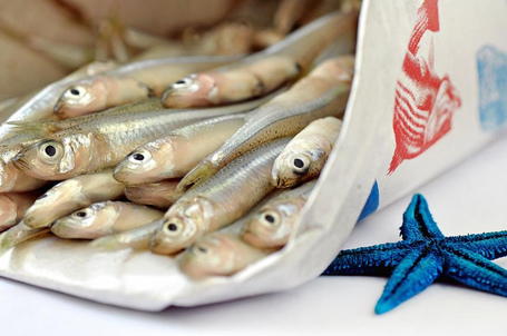 Gavros (Mediterranean anchovies) #gastronomy #Greece #travel #ttot #travelling2GR #visitGReece | travelling 2 Greece | Scoop.it